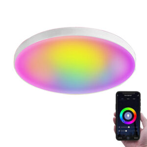 Smart WIfi LED ceiling lamp